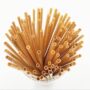 Disposable Wheat Straws