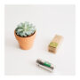 Bio-Based Floss with Reusable Dispenser