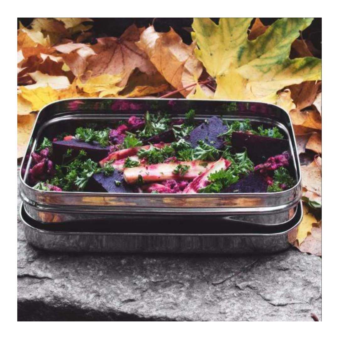 ECOlunchbox Stainless Solo Rectangle